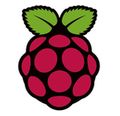 Raspberry Pi Logo